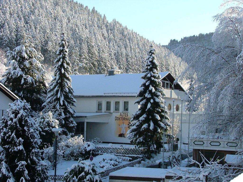 Altes Doktorhaus - Hotel Garni Willingen  Exterior foto